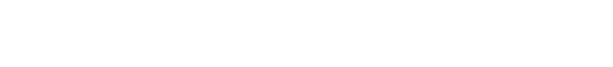 v2_shanesnow_2025_logo_white