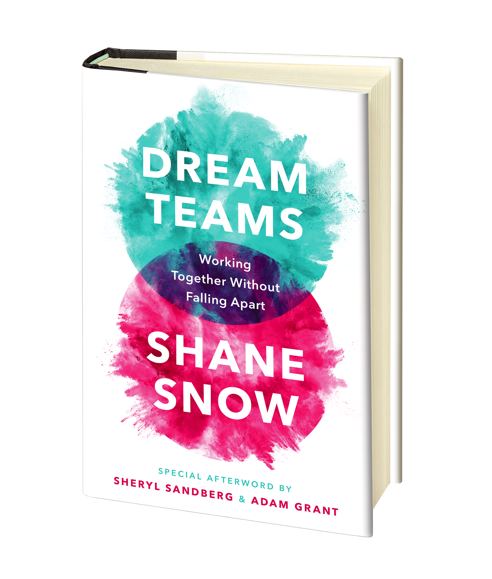 For more on Cognitive Diversity, check out the book Dream Teams